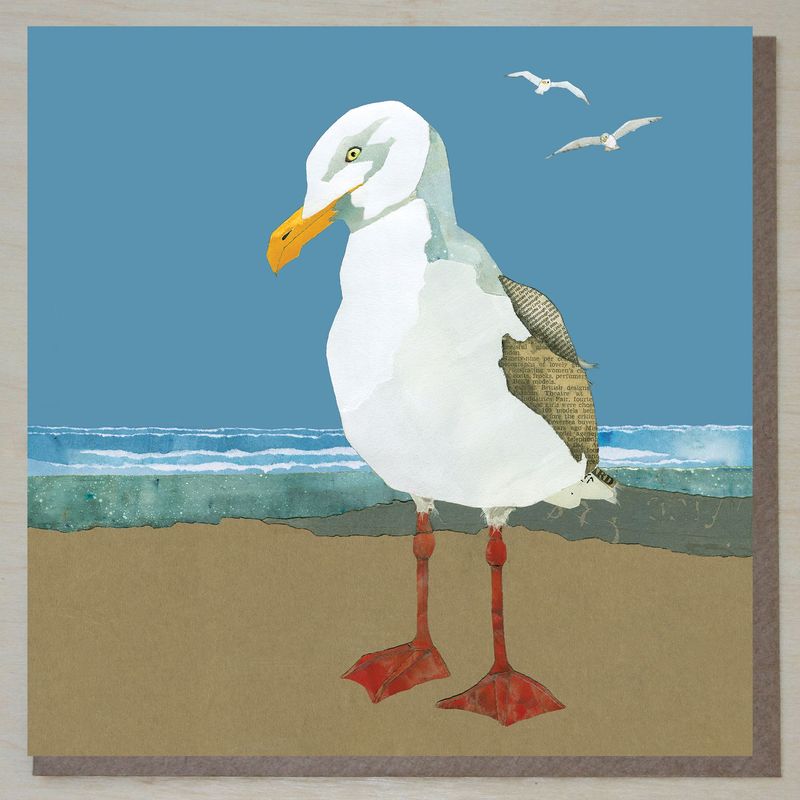 CWND385 Herring Gull