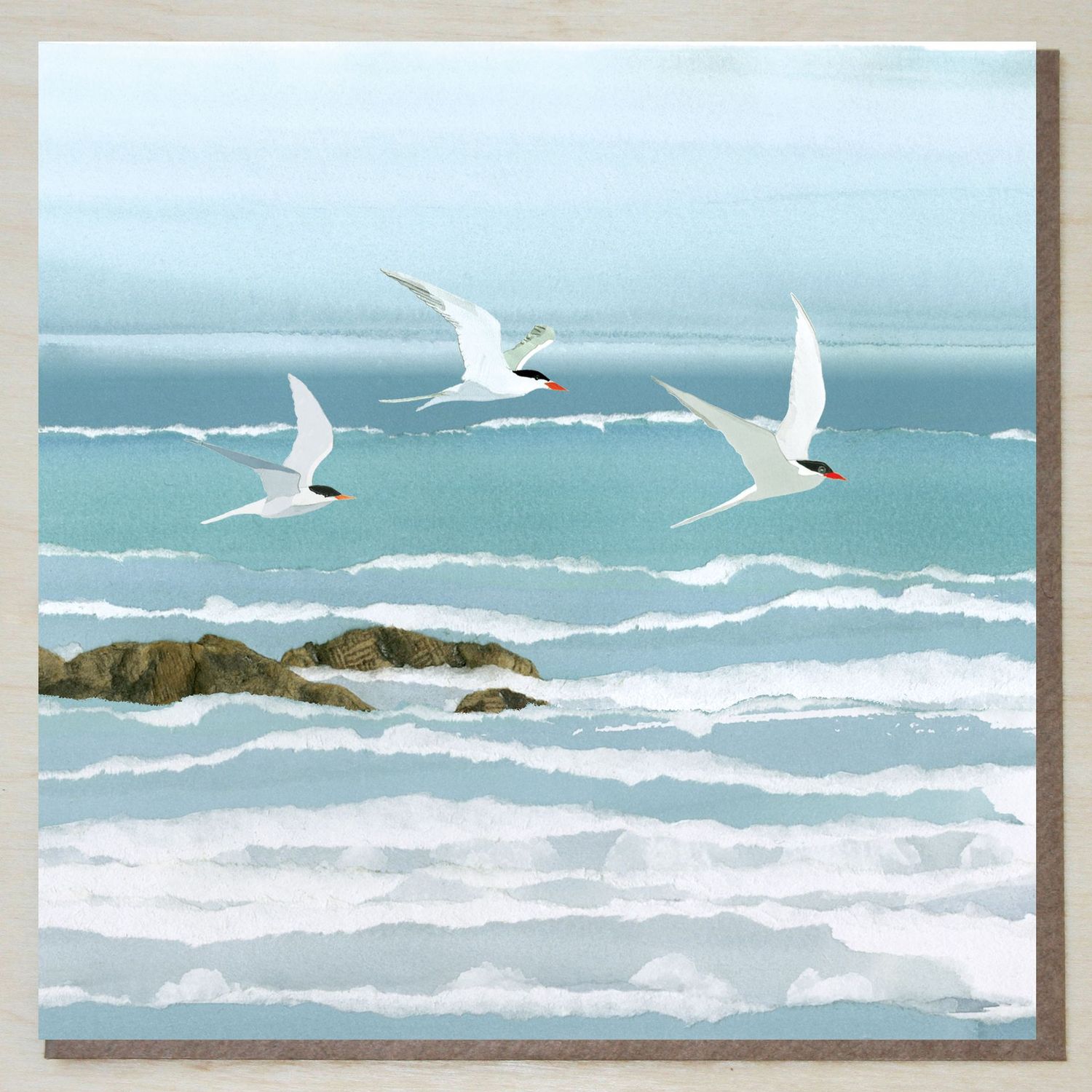 AWND406B Sea Swallows