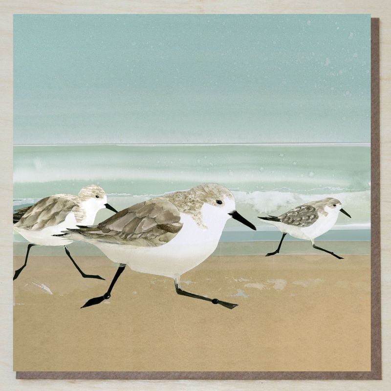 CWND422 Sandpipers