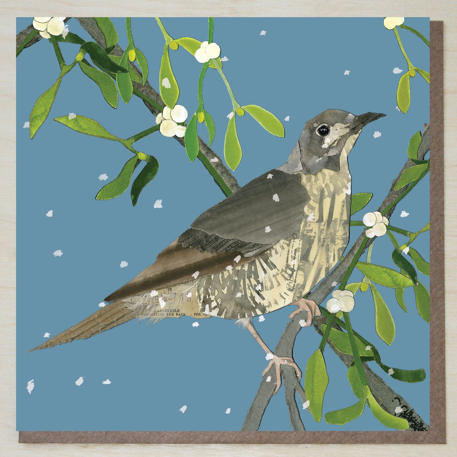AWND405 Mistle Thrush