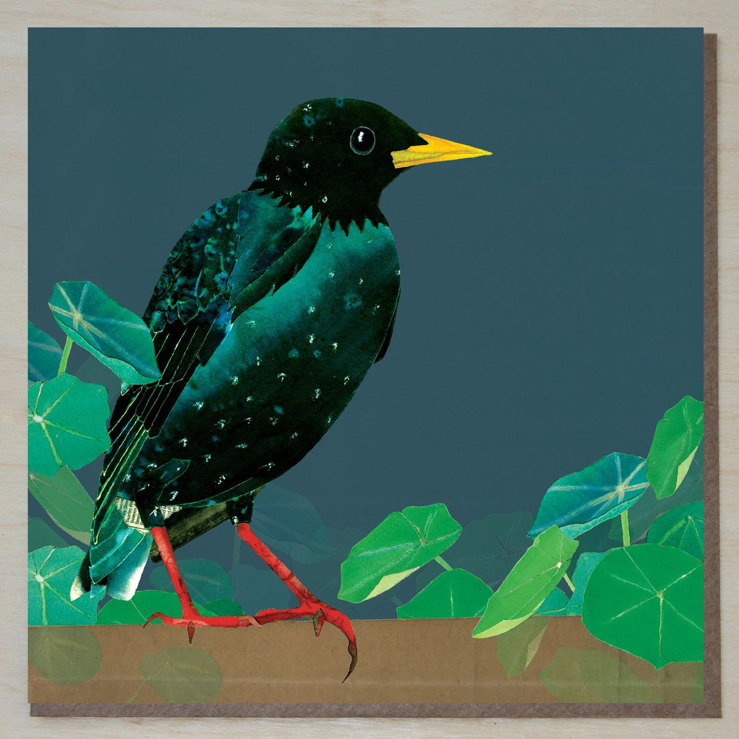 MWND443 Starling with leaves