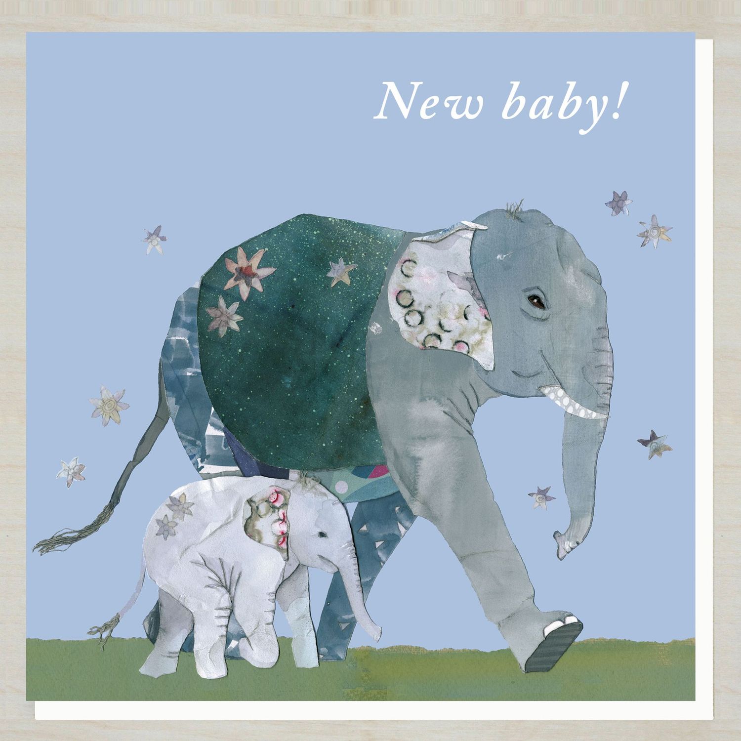 OWND233 New baby (elephants)