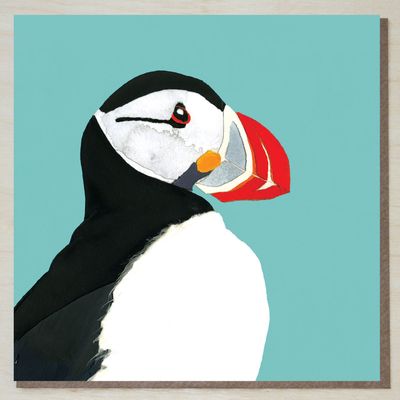 LWND200 Atlantic Puffin