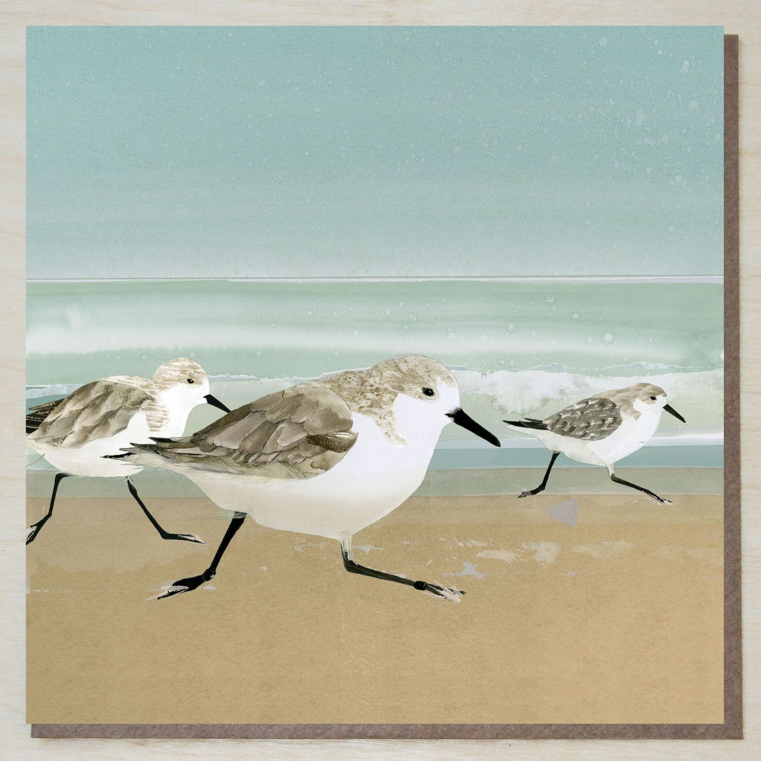 CWND422 Sanderlings