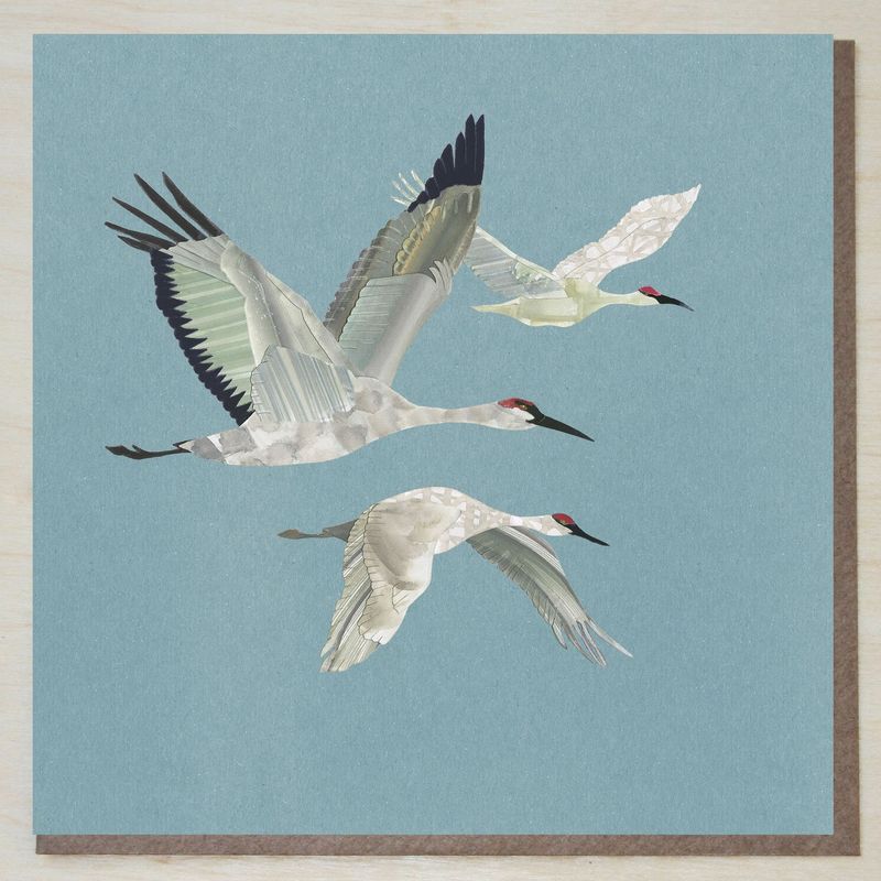 KWND441 Sandhill Cranes