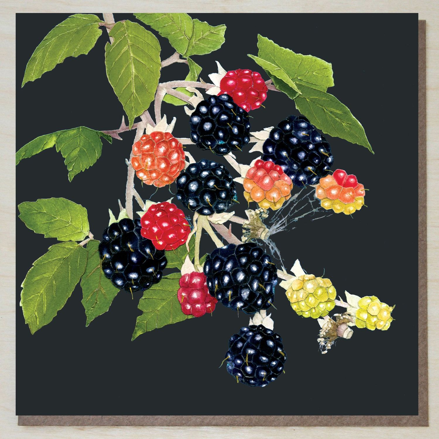FWND450 Blackberries