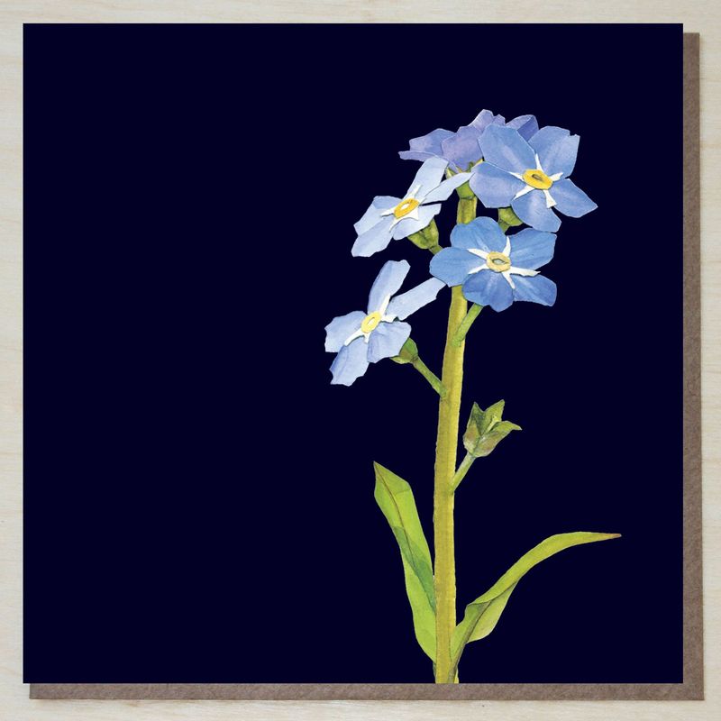 JWND463 Forget me not