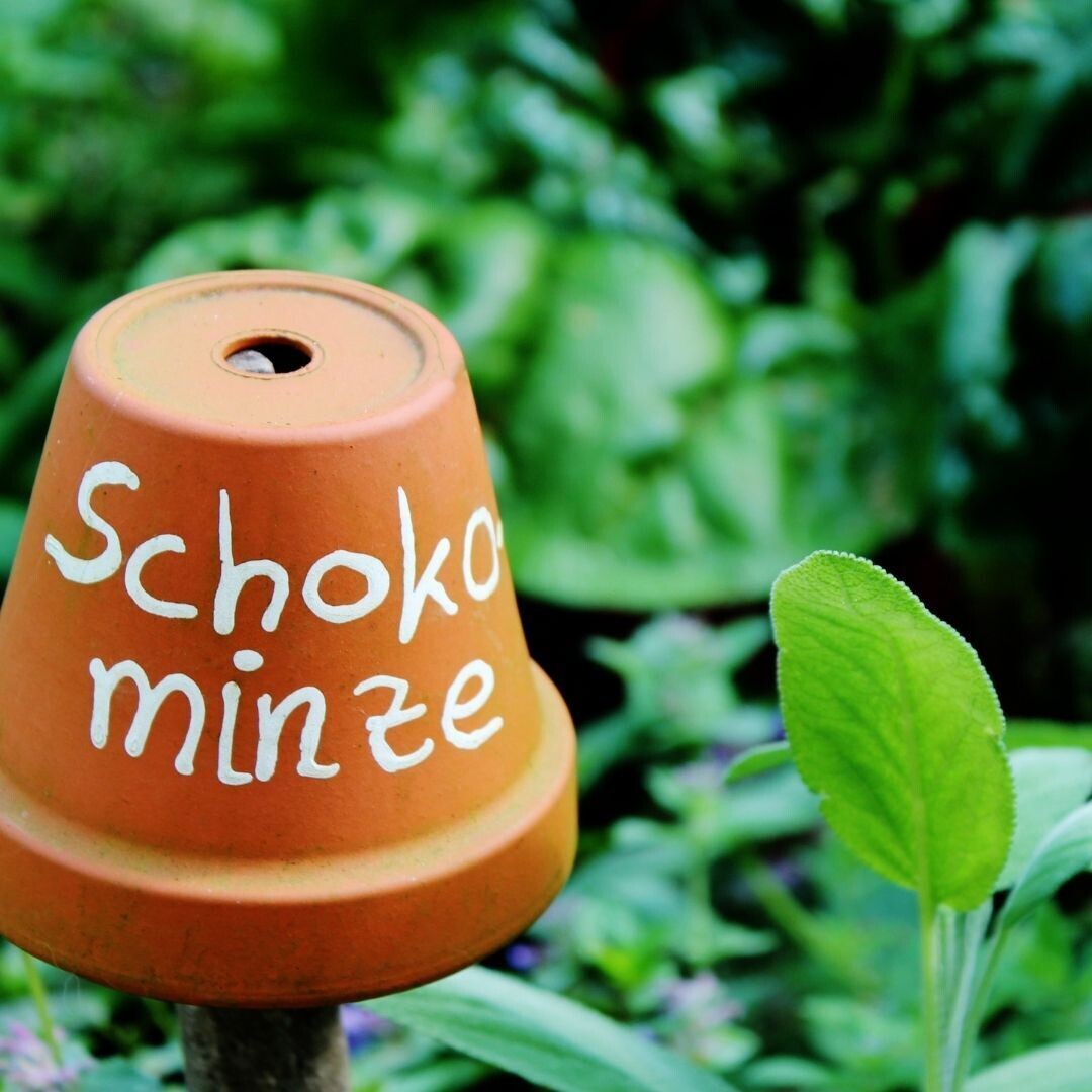 After Seven Rooibos (200g)