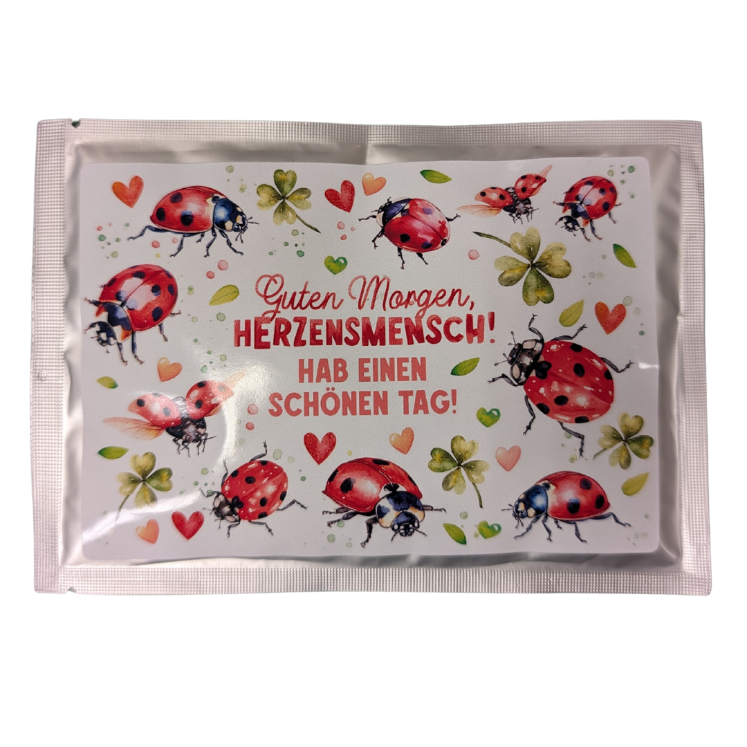 Tee-Postkarte "Marienkäferflug"