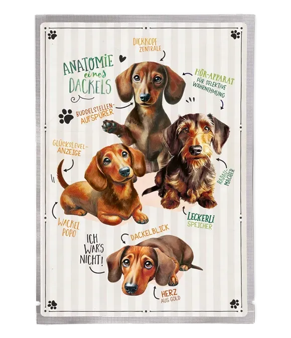 Tee-Postkarte Dackelblick Tee-Postkarte Dackelblick