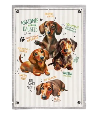 Tee-Postkarte Dackelblick