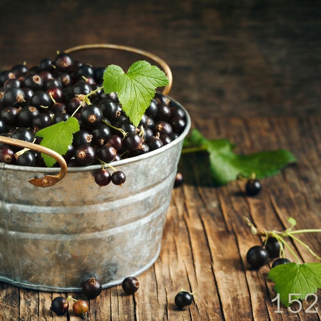 Schwarze Johannisbeere (200g) Schwarze Johannisbeere (200g)
