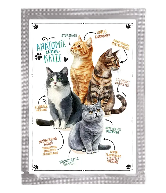 Tee-Postkarte Samtpfoten