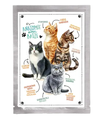 Tee-Postkarte Samtpfoten