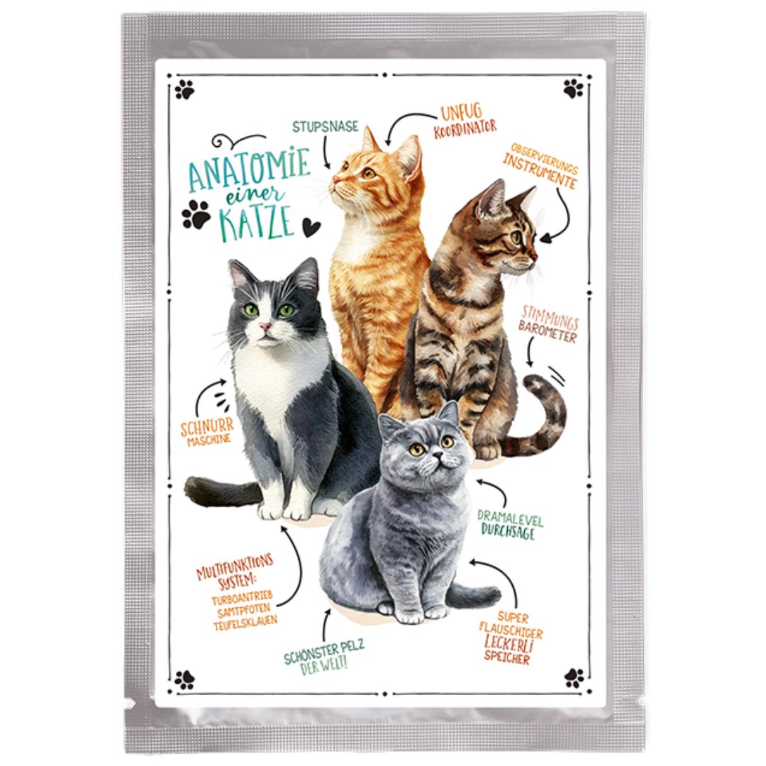 Tee-Postkarte Samtpfoten