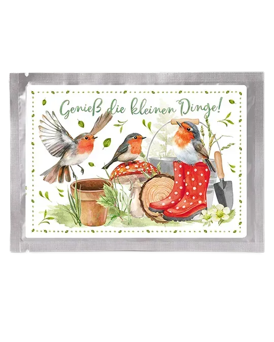 Tee-Postkarte Somerrrotkehlchen