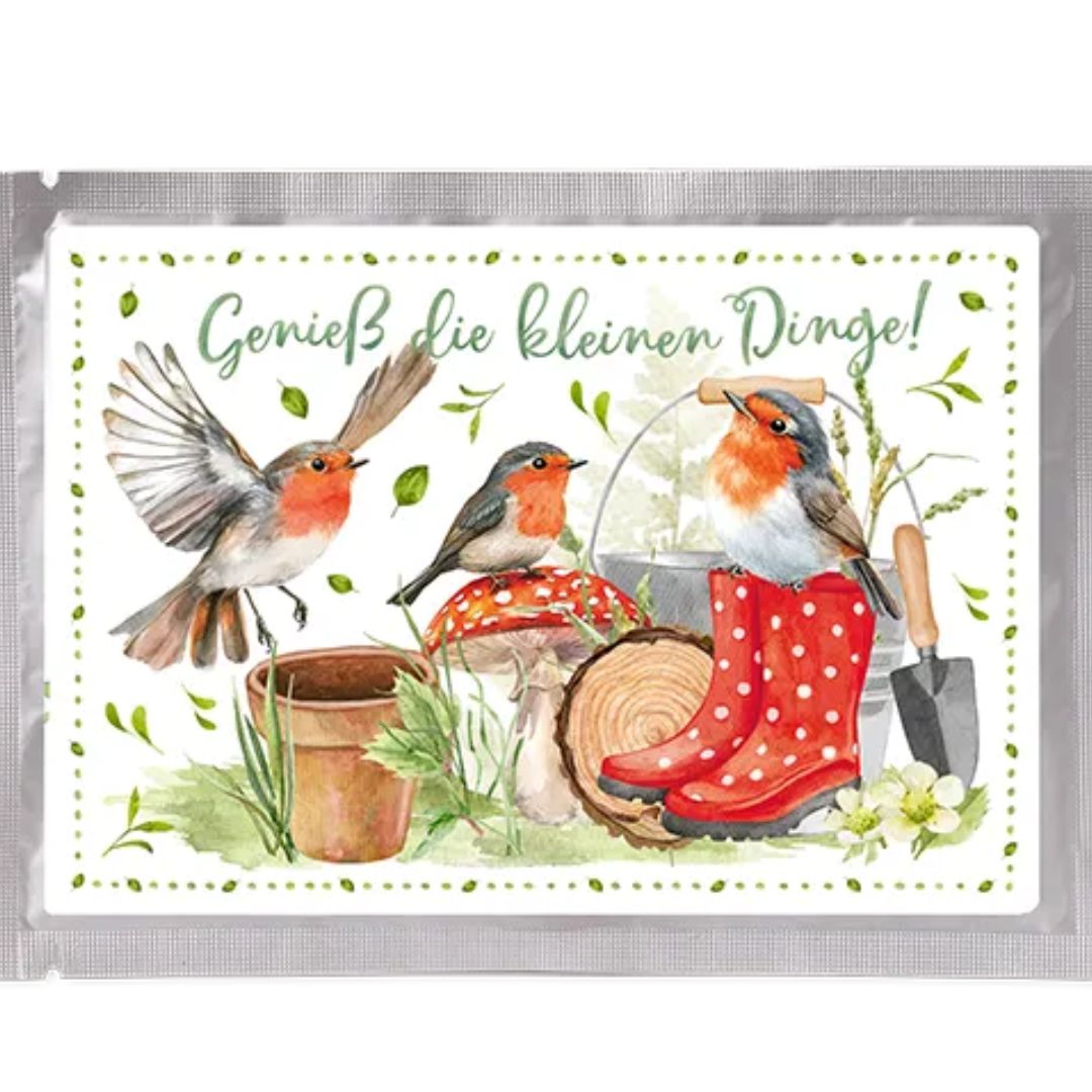 Tee-Postkarte Somerrrotkehlchen