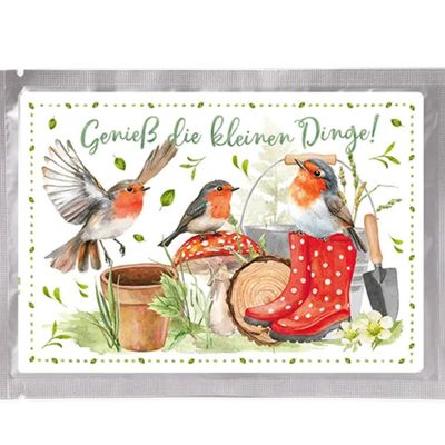 Tee-Postkarte Somerrrotkehlchen