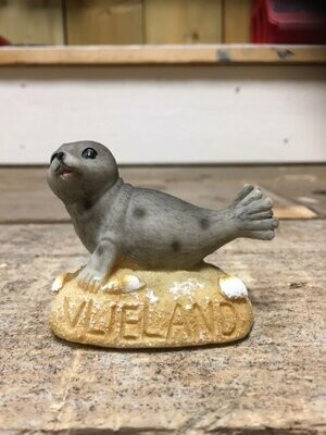 Zeehond op de Vlielandse zandbank