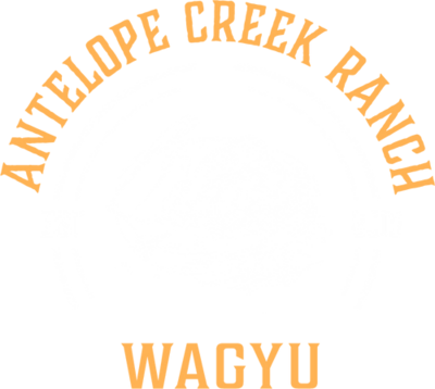 Antelope Creek Ranch Waygu