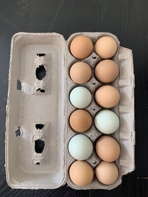 Local Colorado Eggs