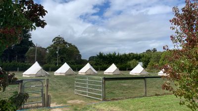 Classic Bell Tent - empty - 4 person max