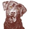 Avery Ellies Brown