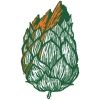Avery Hop Variety Pack Avery IPA