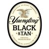 Yuengling Black and Tan 12oz SINGLE CAN