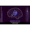 Neuronova Brewing Dream Eater