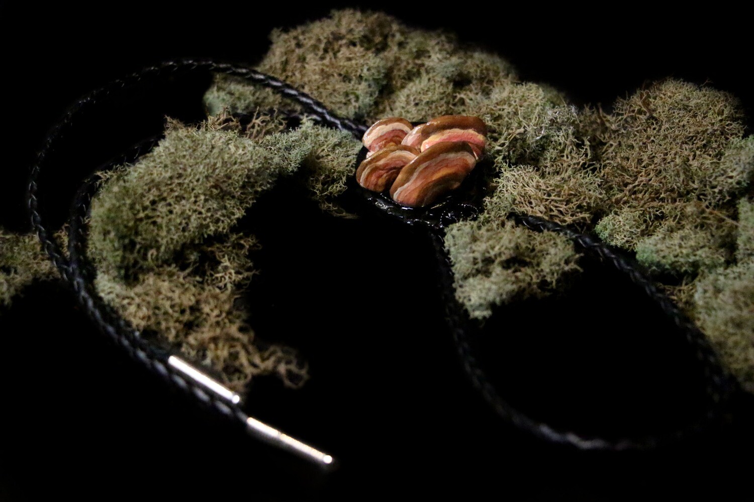 Trametes versicolor bolo tie