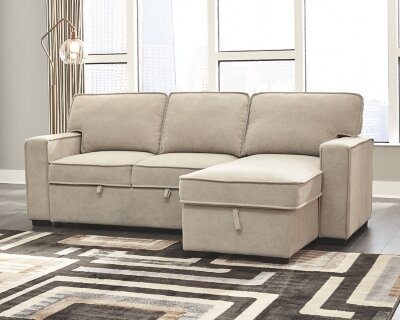 Darton 2-Piece Sleeper Sectional with Storage