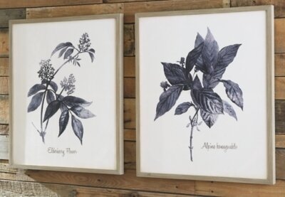 Efren Wall Art (Set of 2)