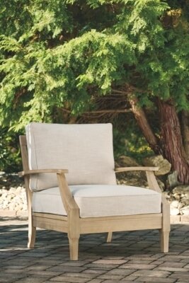 Clare View Lounge Chair with Cushion