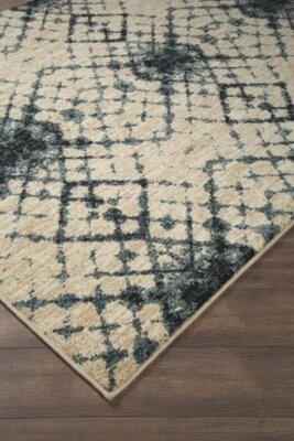 Catheryn 5&#39;3&quot; x 7&#39; Rug