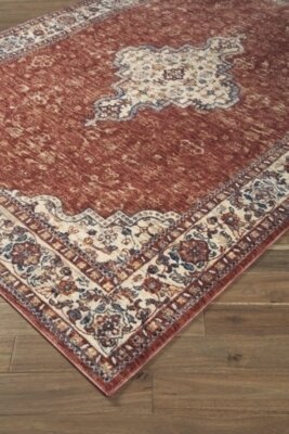 Haydrien 5&#39; x 7&#39;1&quot; Rug
