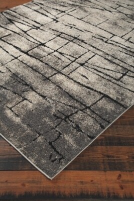 Casten 5&#39; x 7&#39;6&quot; Rug