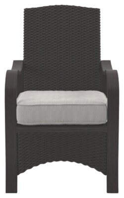 Marsh Creek Chair with Cushion (Set of 2)