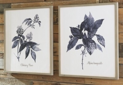 Efren Wall Art (Set of 2)