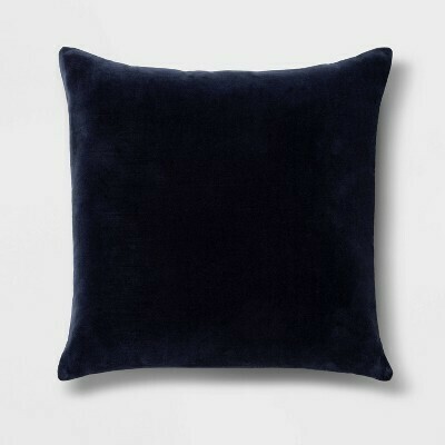 Velvet Pillow R:19.99