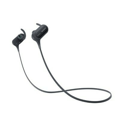 Sony In-Ear Headphones