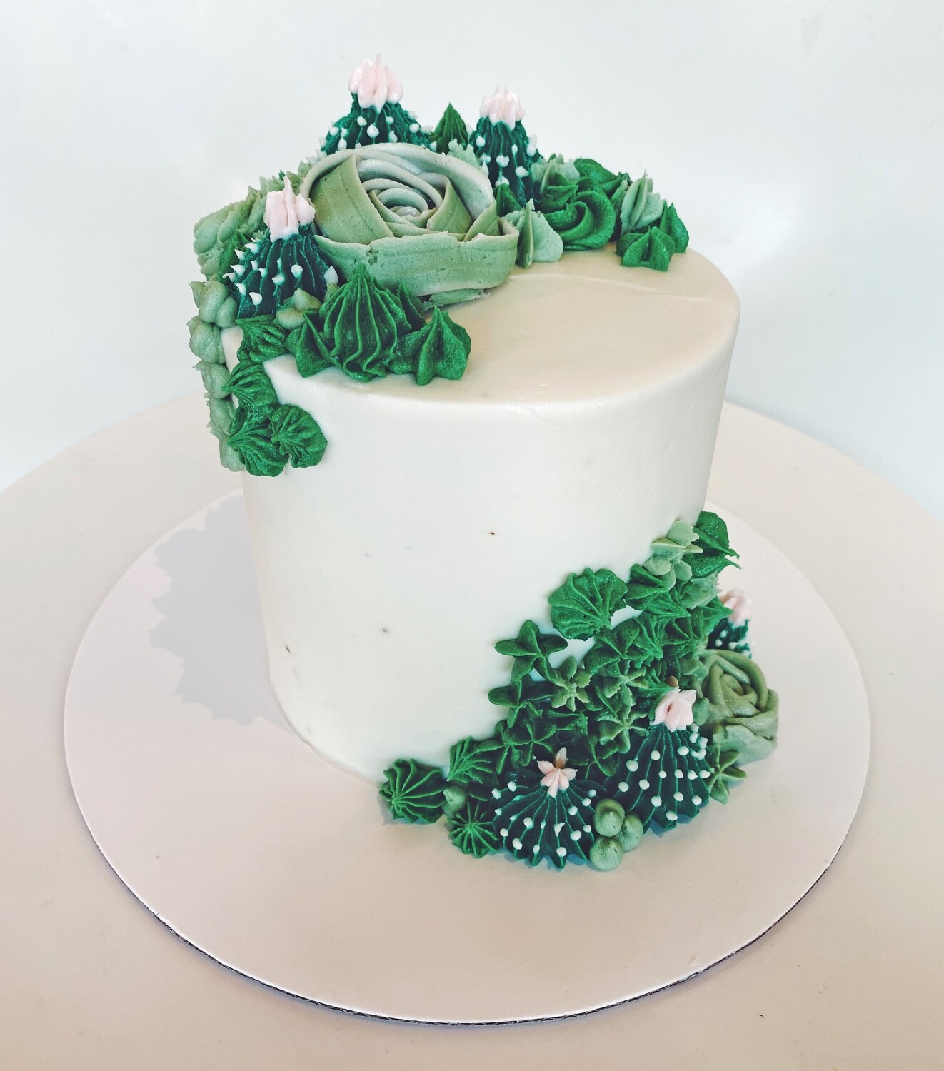 Succulent Cake – Crave by Leena