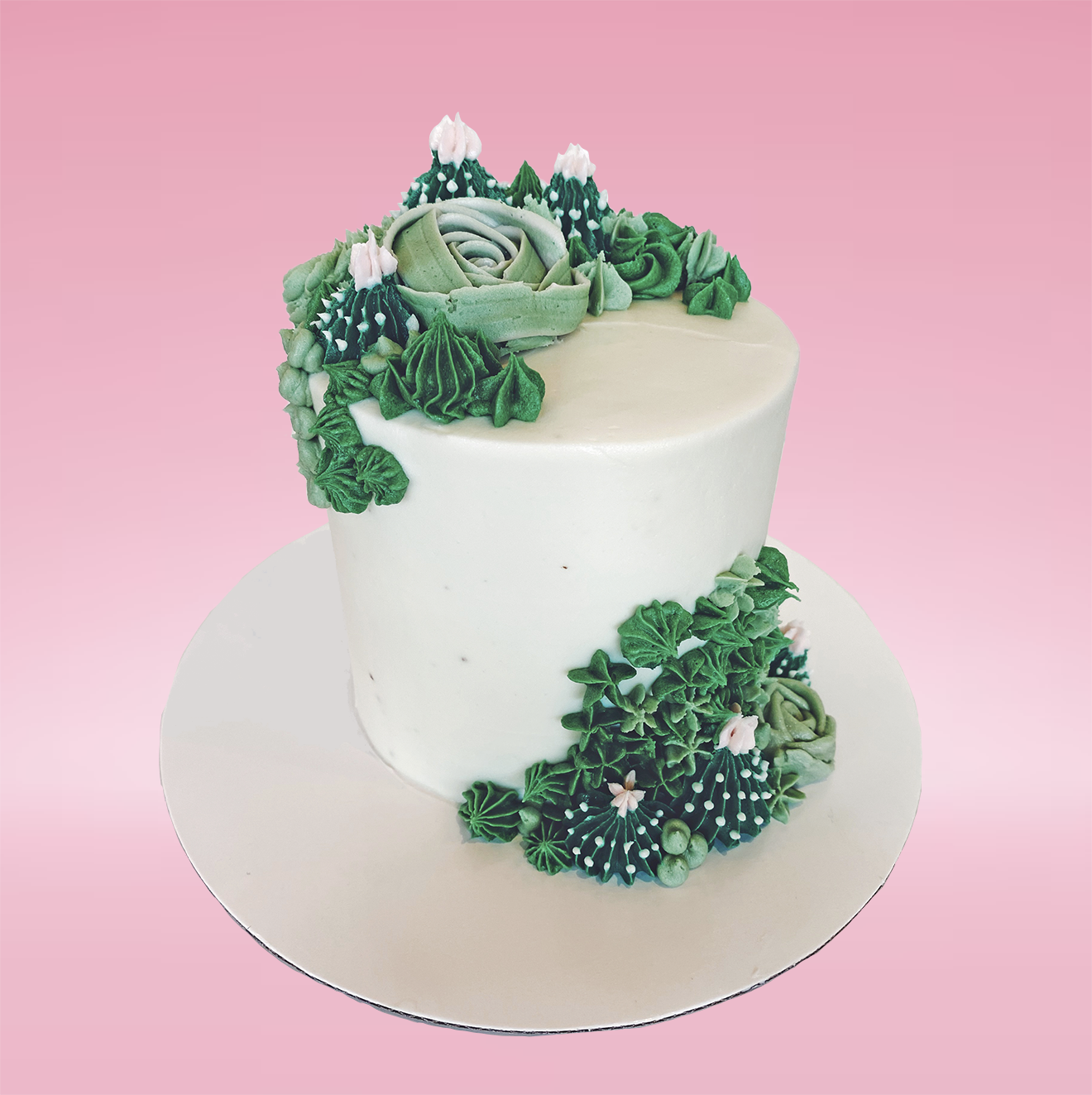 Succulent Cake