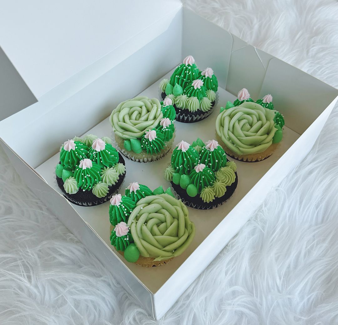 Succulent Cupcakes
