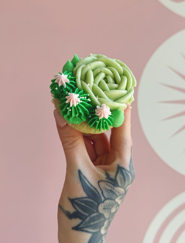 Succulent Cupcakes