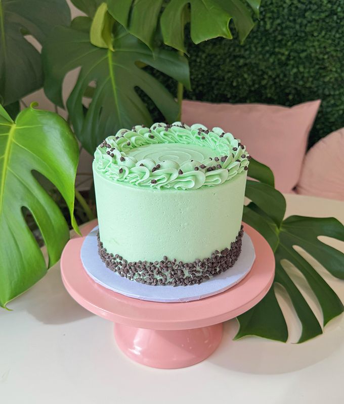 Mint Chocolate Chip