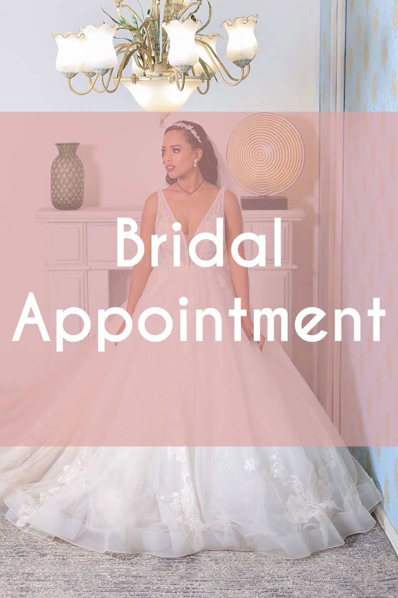 APPOINTMENT