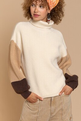 Color Block Sleeve Sweater
