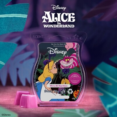 Scentsy Disney Bar We´re All Mad Here - Alice im Wunderland