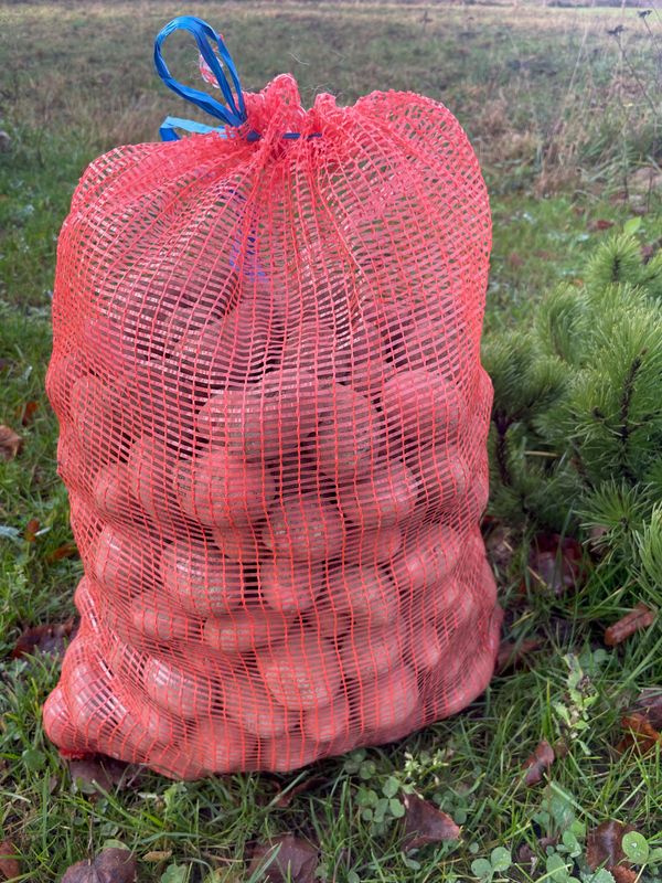 Keedukartul &#39;Birgit&#39;